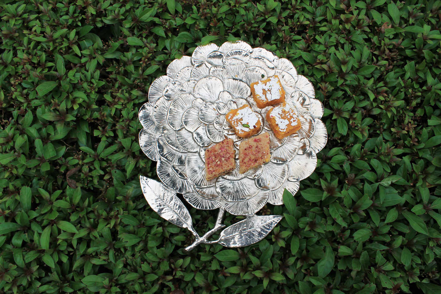 Camelia Plate (Medium)